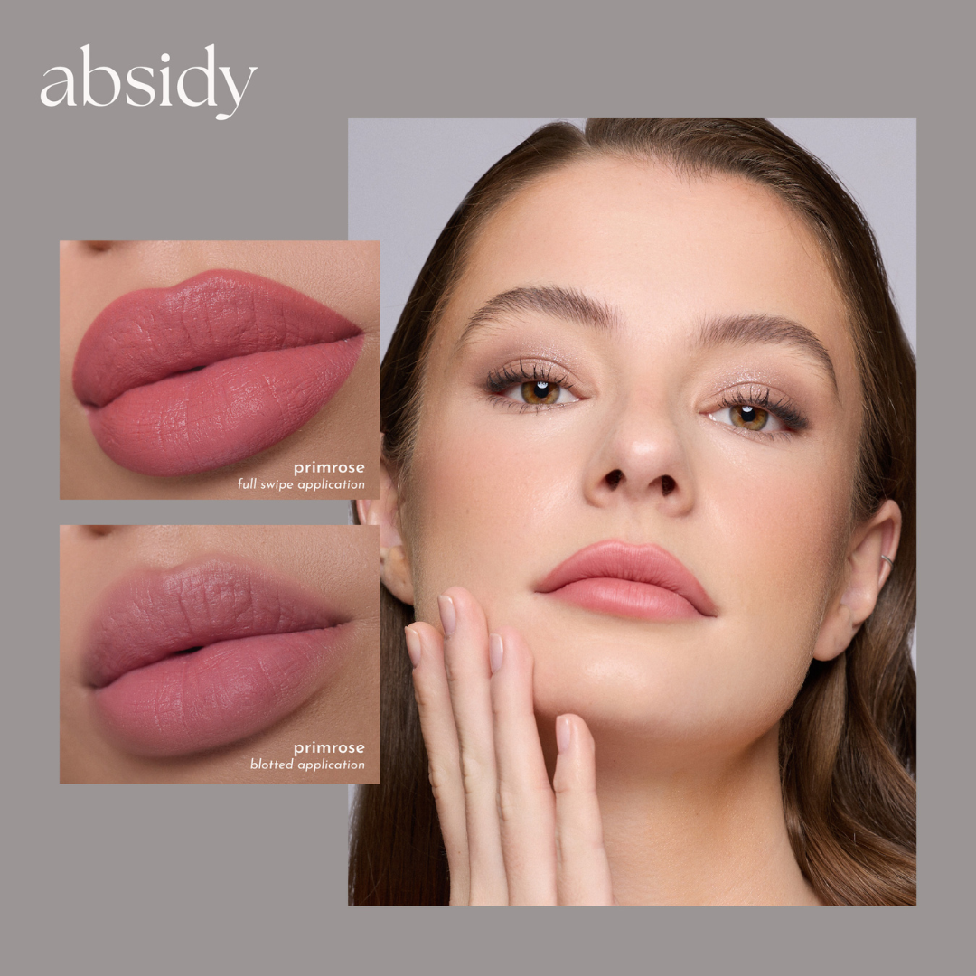 Absidy Beauty Cashmere Kiss Matte Lipsticks