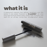 Absidy Lash Lock Waterproof Mascara powered by K-LashPRO