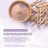 New Moon Soft Nighty Bright