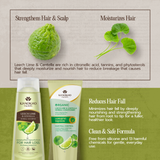 Khaoko Talaypu Leech Lime and Centella Shampoo / Conditioner [Anti-Hair Fall, Hair Grower]