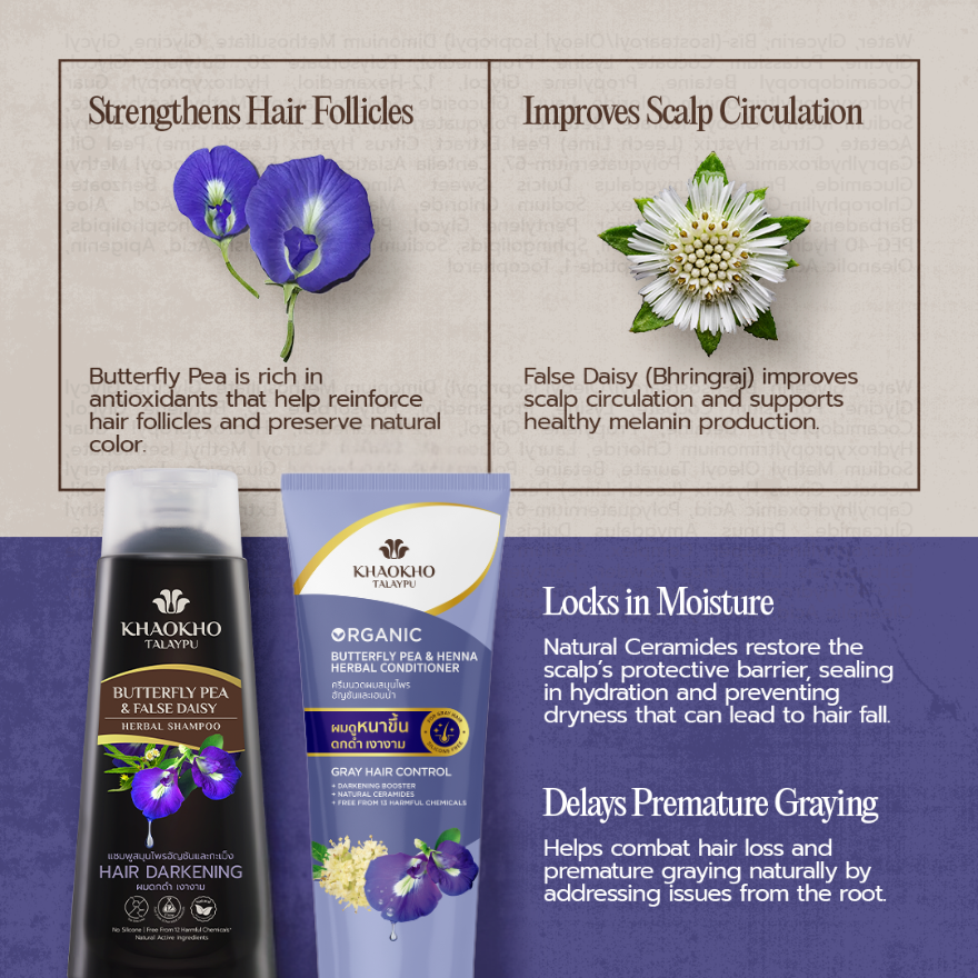 Khaoko Talaypu Butterfly Pea and Henna Herbal Shampoo / Conditioner [Premature Grey Hair, Color Shampoo]