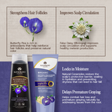 Khaoko Talaypu Butterfly Pea and Henna Herbal Shampoo / Conditioner [Premature Grey Hair, Color Shampoo]
