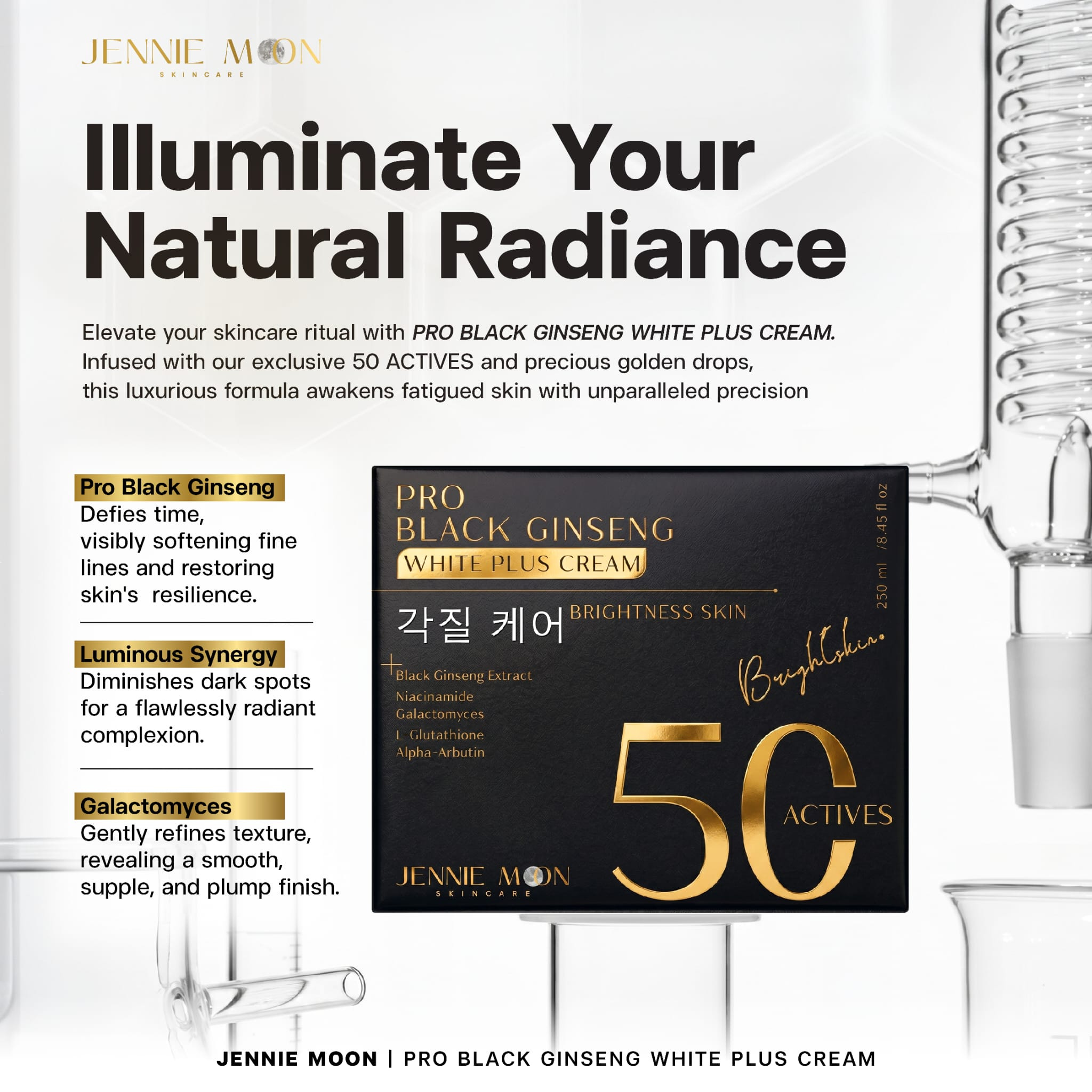Jennie Moon Pro Black Ginseng White Plus Cream