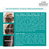 Luxe Organix Scalp Cleanse Hair Detox Scrub Clarifying Treatment Shampoo 220g