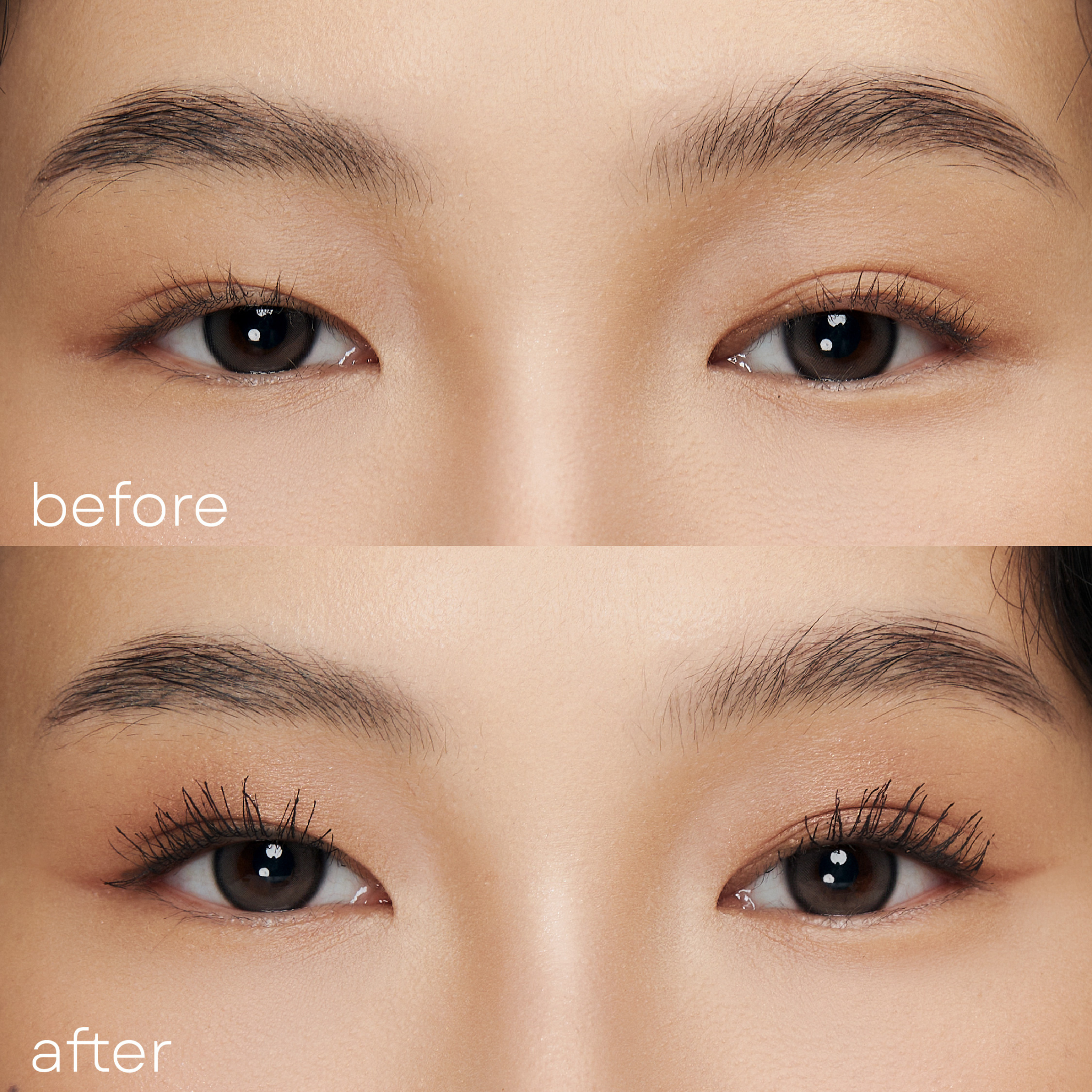 Absidy Lash Lock Waterproof Mascara powered by K-LashPRO